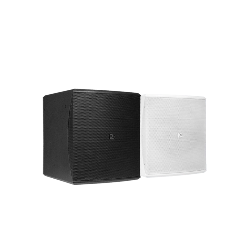 BASO10 subwoofer AUDAC